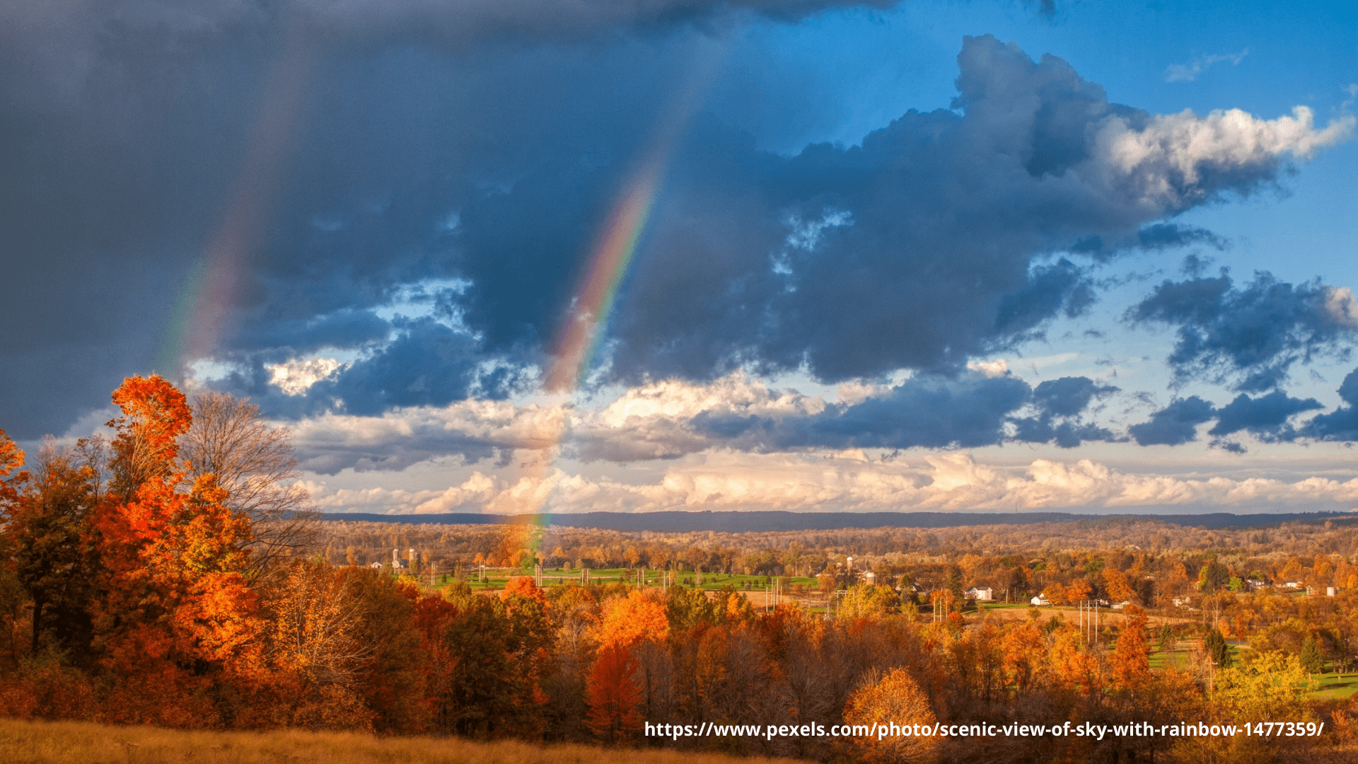 We are sending our best wishes on First Day of Autumn 2024